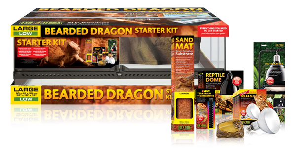 exo terra bearded dragon starter kit Picture
